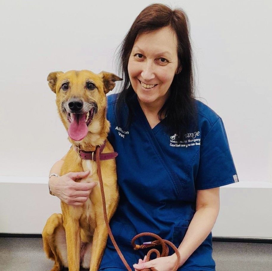 A picture of Allison in her uniform with Blossom, a dog.